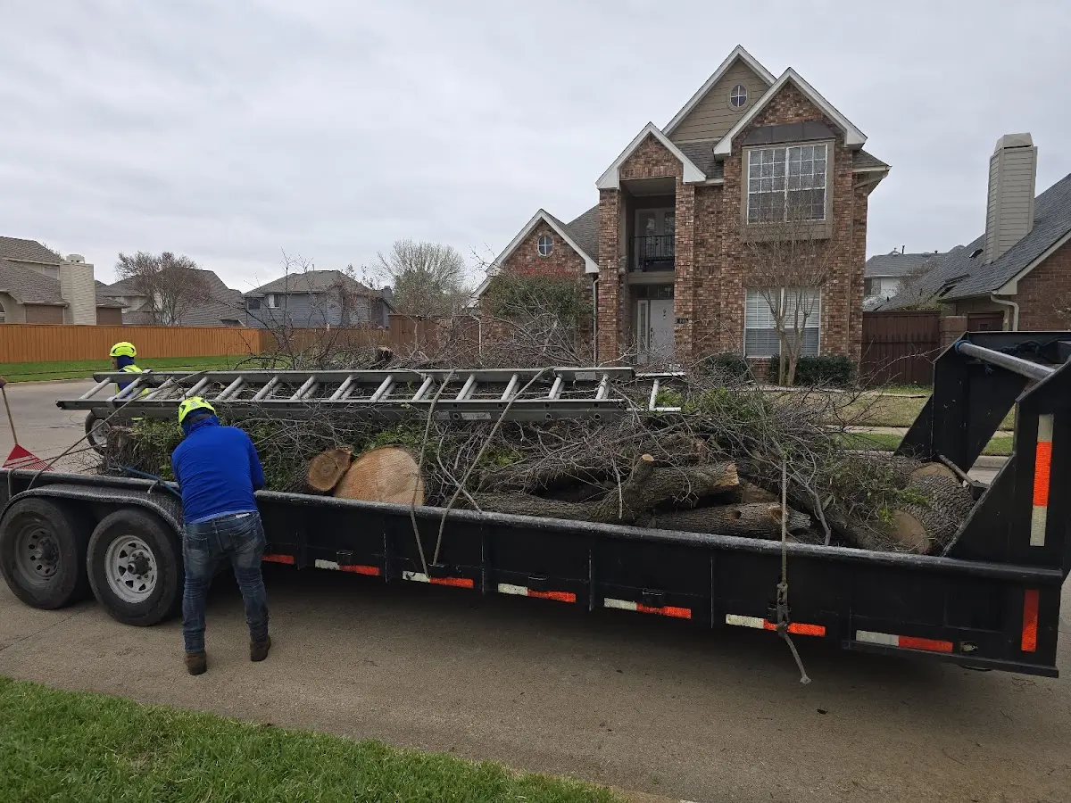 Expert Tree Fertilization with proper safety equipment in Milan